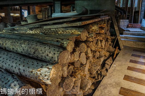 全臺最古老 柴燒窯園區 在這 必逛百年陶器工廠,還有 小京都 美景可拍