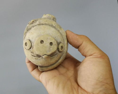 這只3200年前的豬上熱搜了 網(wǎng)友 瞬間穿越了