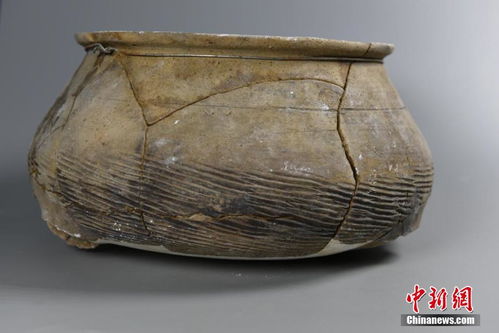四川發(fā)現(xiàn)漢代聚落遺址 出土 x子鄉(xiāng) 字樣陶片