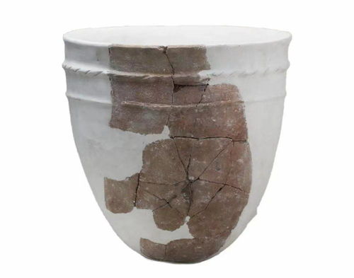 預(yù)熱3 王仁湘 中華大地上的新石器時代文化遺址