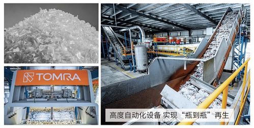 專訪 陶朗扎根中國十余載,用智能分選技術推動資源變革
