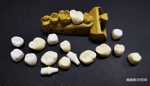 兩款國產陶瓷3d打印機,西安點云生物重磅產品
